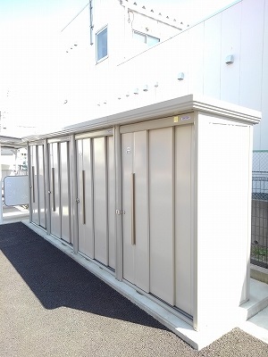 チェリーブロッサムIV