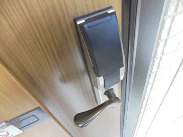 エルドラード ココ