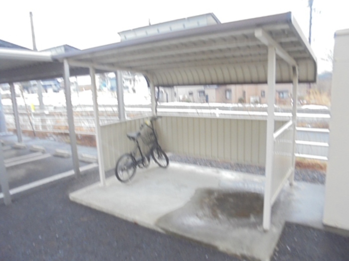 エルドラード ココ